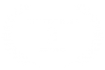 FILM FESTIVALS - 3 - AWARDS